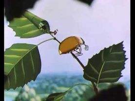 Эх, молодёжь!