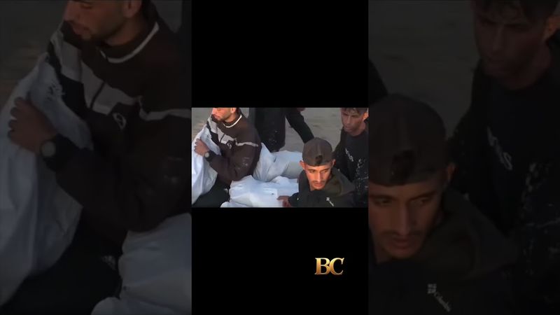 Red Cross says at least 21 killed and dozens shot in Gaza aid incident