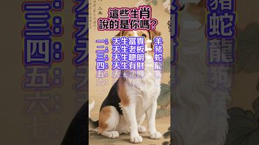 這些生肖說的是你嗎？#生肖 #十二生肖 #運勢 #生肖運勢