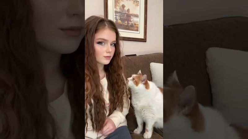 When the cat is trying to get your attention#catlovers #pets #funnycats #cat#cute