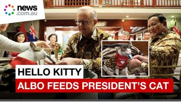 Australian PM feeds the Indonesian President's cat during formal dinner