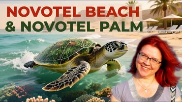 Обзор отелей Novotel Sharm El-Sheikh (ex Novotel Beach & Novotel Palm  Naama Bay) в Шарм-Эль-Шейхе