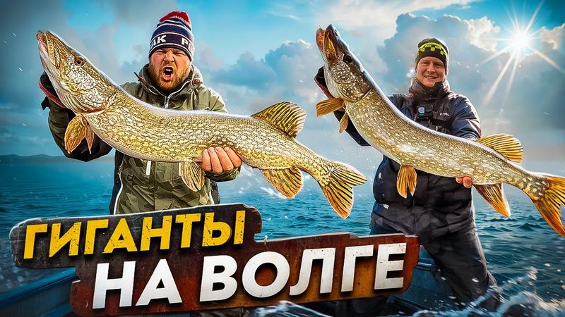 ГИГАНТЫ НА ВОЛГЕ
