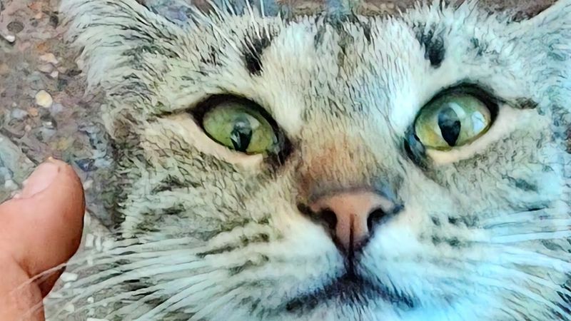 Быт туриста