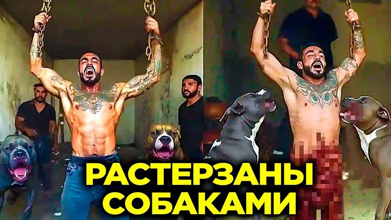 Придуманы Быть Хуже Смерти: Пытки Мексиканских Картелей