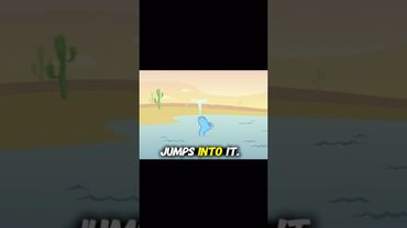 Funny Video #shortvideo #funny #viralshortvideo #viralvideo #shorts #shortsvideo #funnyvideo #fun