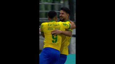 Gols de Flaco López pelo Palmeiras contra o Sport