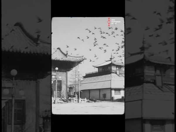 Репрессии Сталина против бурят