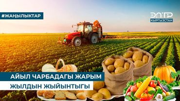 АЙЫЛ ЧАРБАДАГЫ ЖАРЫМ ЖЫЛДЫН ЖЫЙЫНТЫГЫ