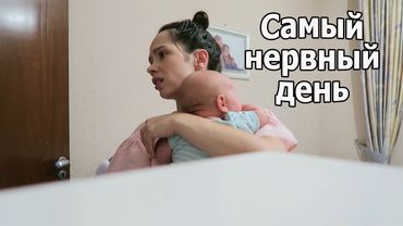 VLOG: Собаки в шоке от погоды в Алматы / Самый нервный день