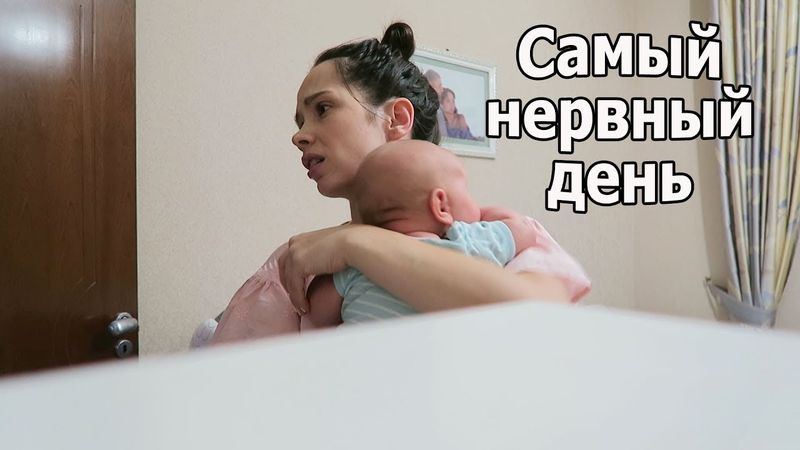 VLOG: Собаки в шоке от погоды в Алматы / Самый нервный день