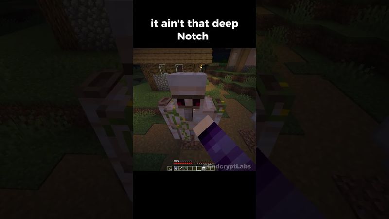 mad notch #minecraft #minecrafthumor #minecraftshorts #minecraftmemes