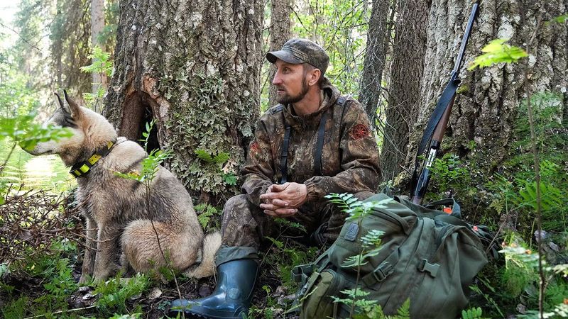 3 ДНЯ В ИЗБЕ. РЫБАЛКА НА БОЛОТНОМ ОЗЕРЕ. ОТКРЫТИЕ ОХОТЫ НА БОРОВУЮ ДИЧЬ.