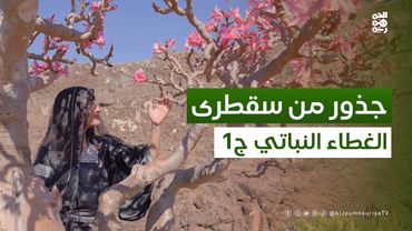 أﺳﺮار ﻧﺒﺎﺗﺎت ﺟﺰﻳﺮة ﺳﻘﻄﺮى اﻟﻄﺒﻴﺔ واﻟﻨﺎدرة | ﺟﺬور ﻣﻦ ﺳﻘﻄﺮى ﻣﻊ ﺳﻤﻴﺔ ﺟﻤﺎل ﺑﻠﻘﻴﺲ | حلقة 05