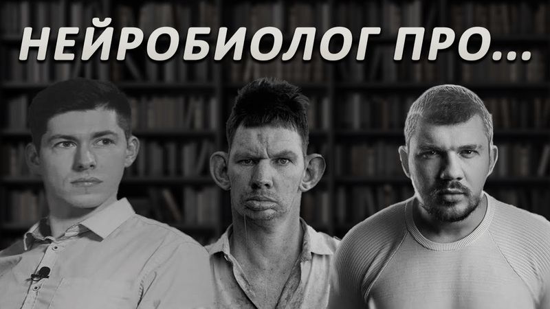 Алипов про тупых людей