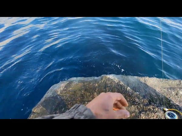 Ультралайт на чёрном море. Ловля на БУЛЛЕР.