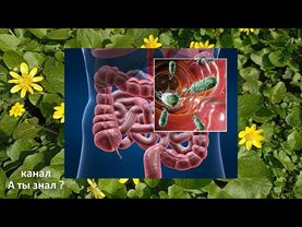 Сахар в крови сразу падает ! Рецепт из лука – настоящее сокровище !