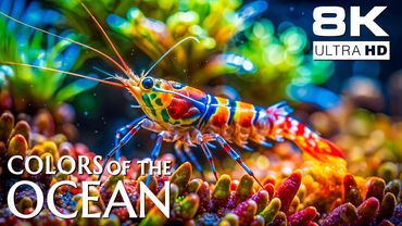 Ocean Depths 8K – Discover the Blue World