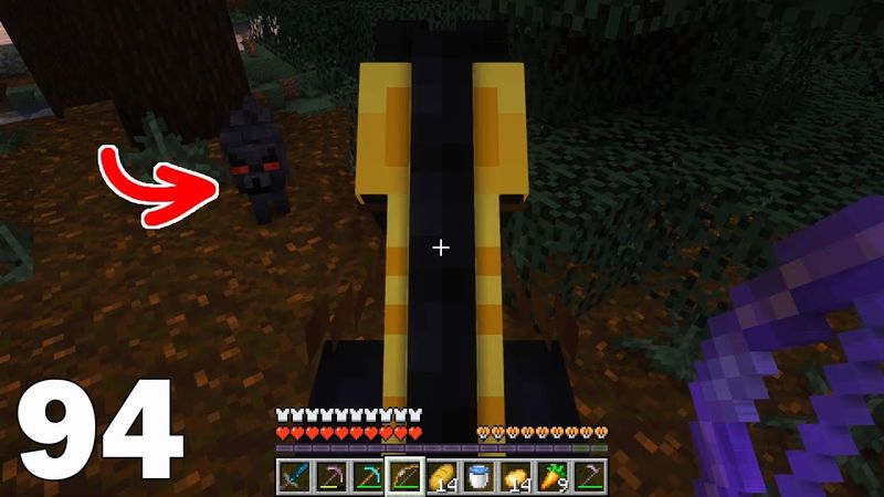 Куда глаза глядят #94