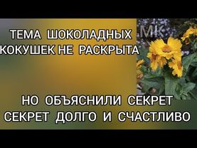 Обзор‼️ Наша жизнь в Германии // Выкатились шоколадные кокушки‼️По секрету всему свету‼️