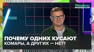 Комары, тараканы, моль и клопы — как избавиться навсегда? | Миллион вопросов