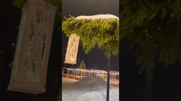 #бог #благодарность #beautiful #красотадуши #happy #shorts #love #life #nature #music