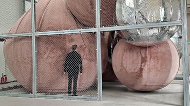 Большой дворец в Париже встречает зрителей выставкой воздушного искусства