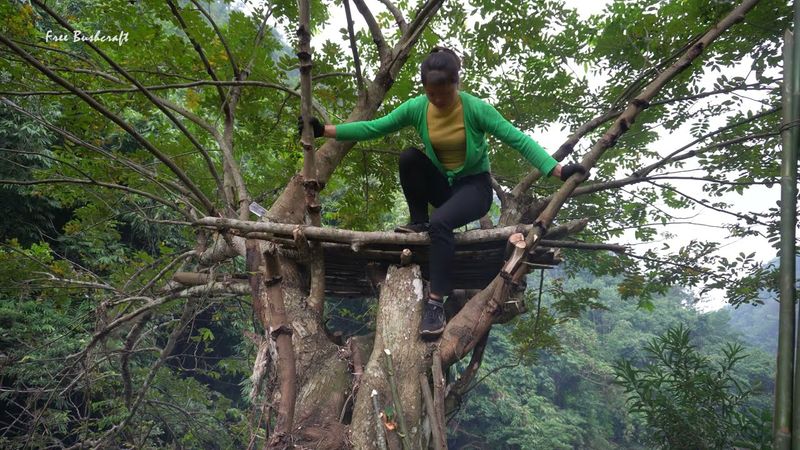 Bushcraft Camp On Tree, Solo Camping In The Forest - 365 DAYS LIVING OFF GRID #56