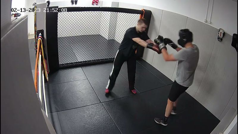 Лисица Мишанин