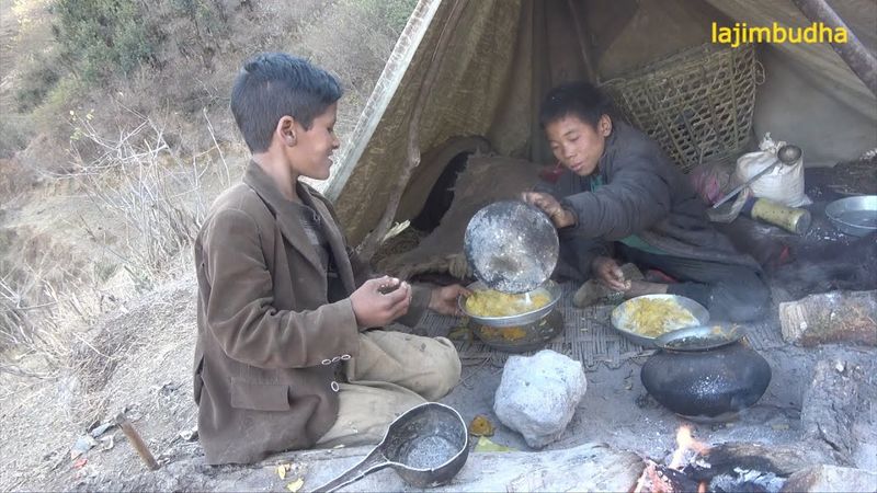 having pumpkin with sheep milk in sheep farm || lajimbudha ||