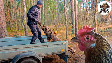 Хуторская тишина и вдохновение. Что получится, если руки из плеч? Поиски в лесу. Неожиданная находка