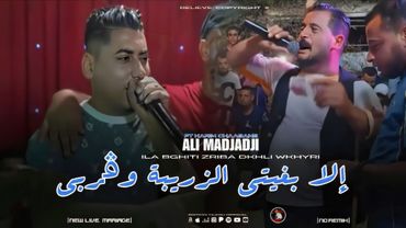Cheb ALi Madjadji Ft Lwkrif Lbarah 2026 إلا بغتي الزريبة وڨربي Dkhli wkhayri ( Music Live )