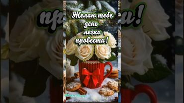 С Добрым Утром! 11 декабря. #доброеутро #владаalmaty #сдобрымутром #11декабря #четверг