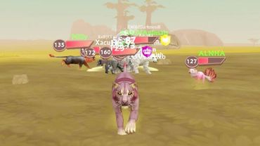 Совместная онлайн игра с фан котиками из Амино в WildCraft