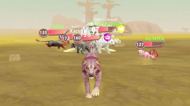 Совместная онлайн игра с фан котиками из Амино в WildCraft