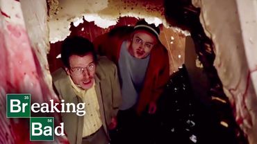 Hydrofluoric Acid Burns The Bathtub | Cat's in the Bag... | Breaking Bad