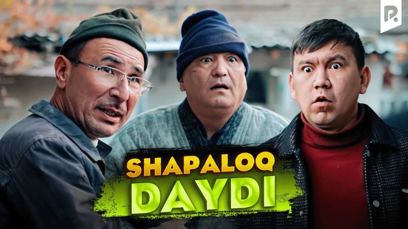 Shapaloq - Daydi