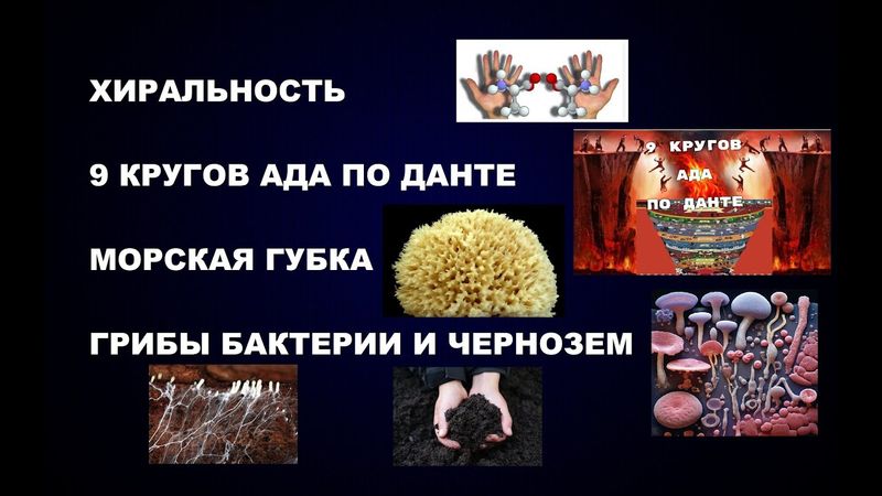 203   ХИРАЛЬНОСТЬ 9 КРУГОВ АДА ДАНТЕ МОРСКАЯ ГУБКА ГРИБЫ И ЧЕРНОЗЕМ