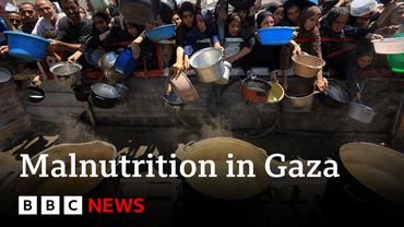 Gaza health ministry says 33 people dead from malnutrition in last 48 hours | BBC News