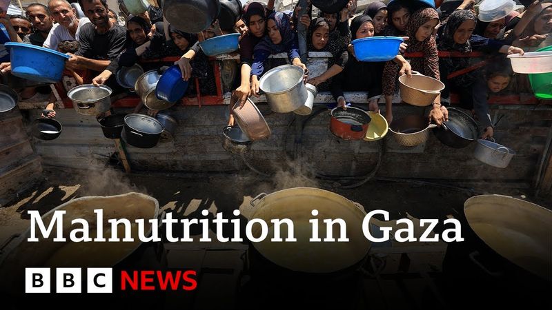 Gaza health ministry says 33 people dead from malnutrition in last 48 hours | BBC News