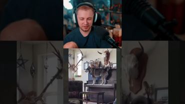 собака и пианино #стинт #stint #stintik #прикол #реакция