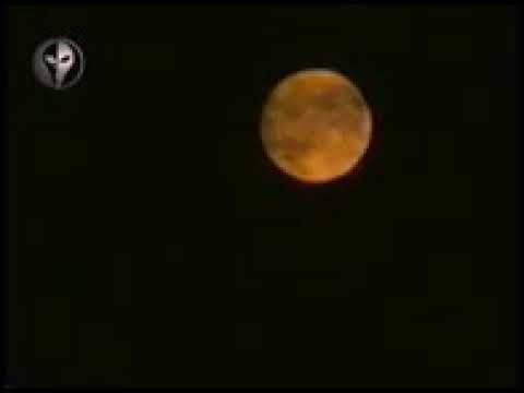 شب سرد و شراب تند فرهاد دریا Shab sardo sharab Farhad darya