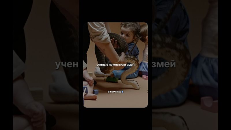 Эксперимент – дети и змеи