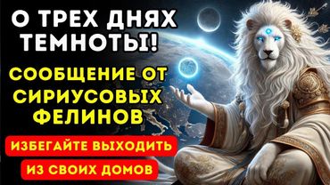 🐾 ПОСЛАНИЕ С СИРИУСА: Что Фелины Говорят О ТРЁХ ДНЯХ ТЬМЫ? 🌌