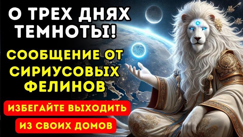 🐾 ПОСЛАНИЕ С СИРИУСА: Что Фелины Говорят О ТРЁХ ДНЯХ ТЬМЫ? 🌌