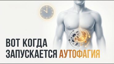 Сколько нужно голодать, чтобы началась аутофагия