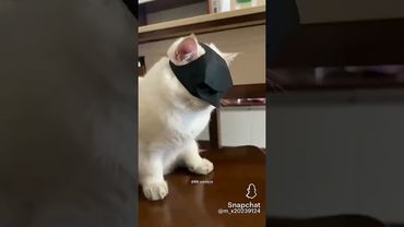 3 декабря 2025 г.