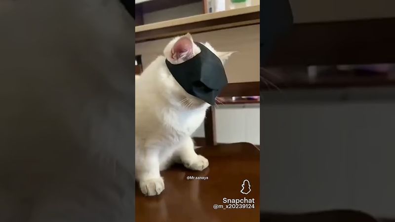 3 декабря 2025 г.