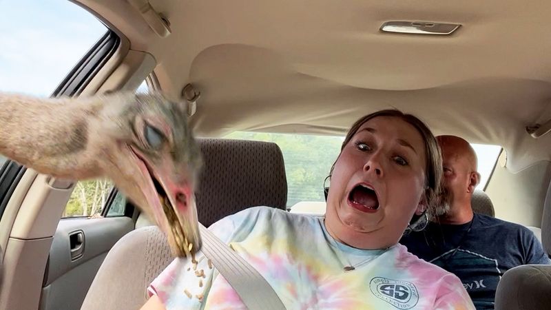 Fails of The Week | You'll Never Believe It!