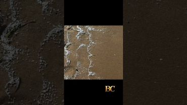 Beaches in Spain’s Valencia region closed after “unknown material” washes ashore